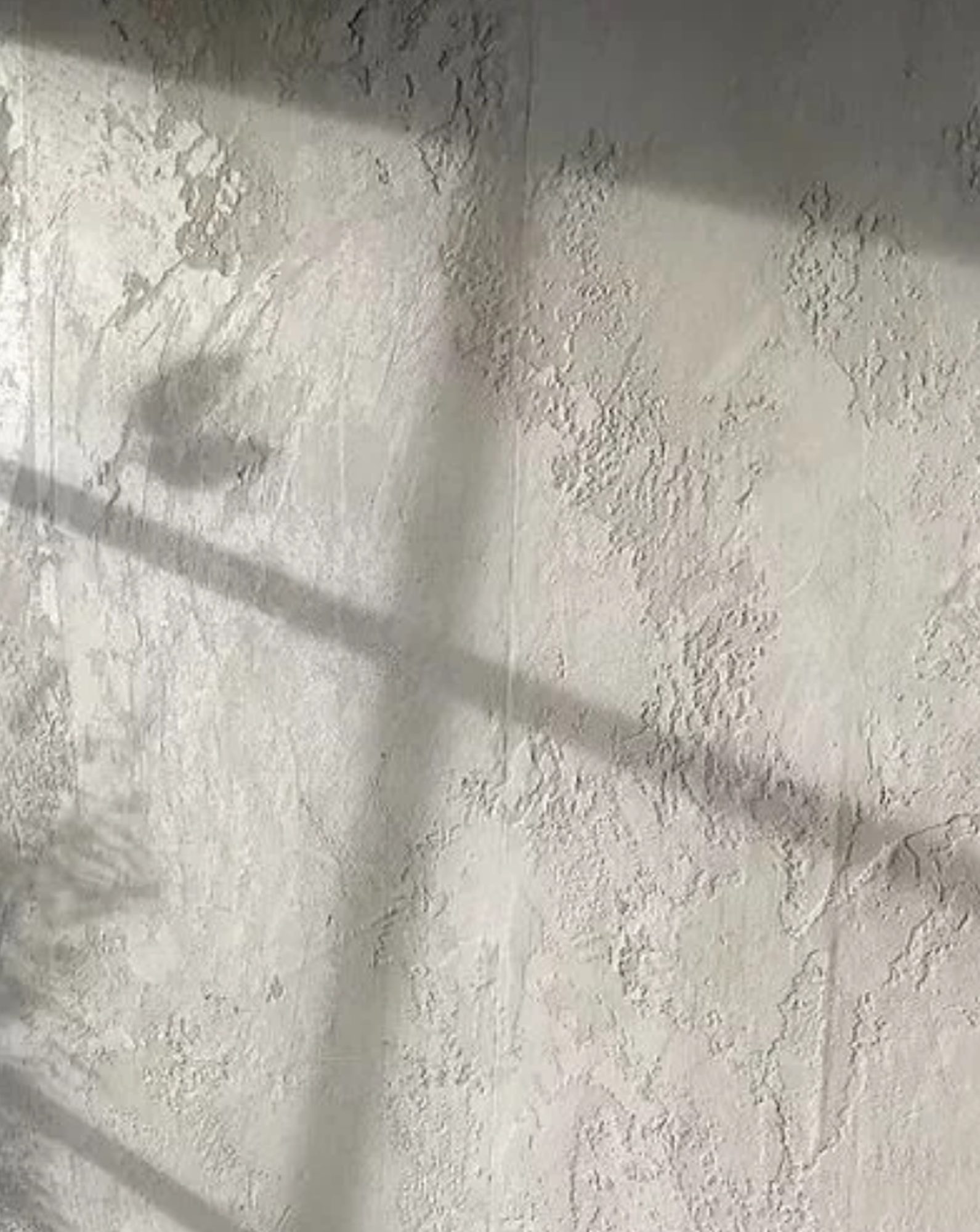 Venetian plaster feature wall — burnished all-natural lime plaster finish hand-applied by Limekote, Sunshine Coast applicators